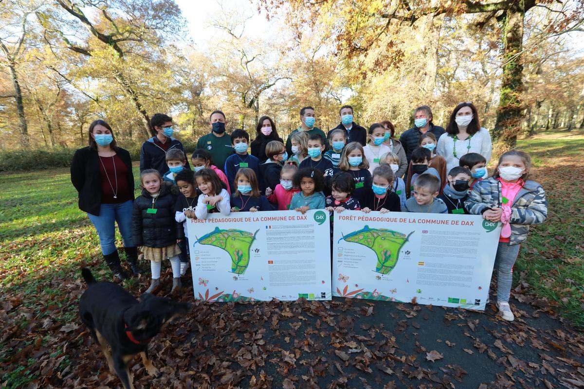 Dax : 14 hectares de forêt gérés par les enfants sudouest.fr/landes/dax/dax…