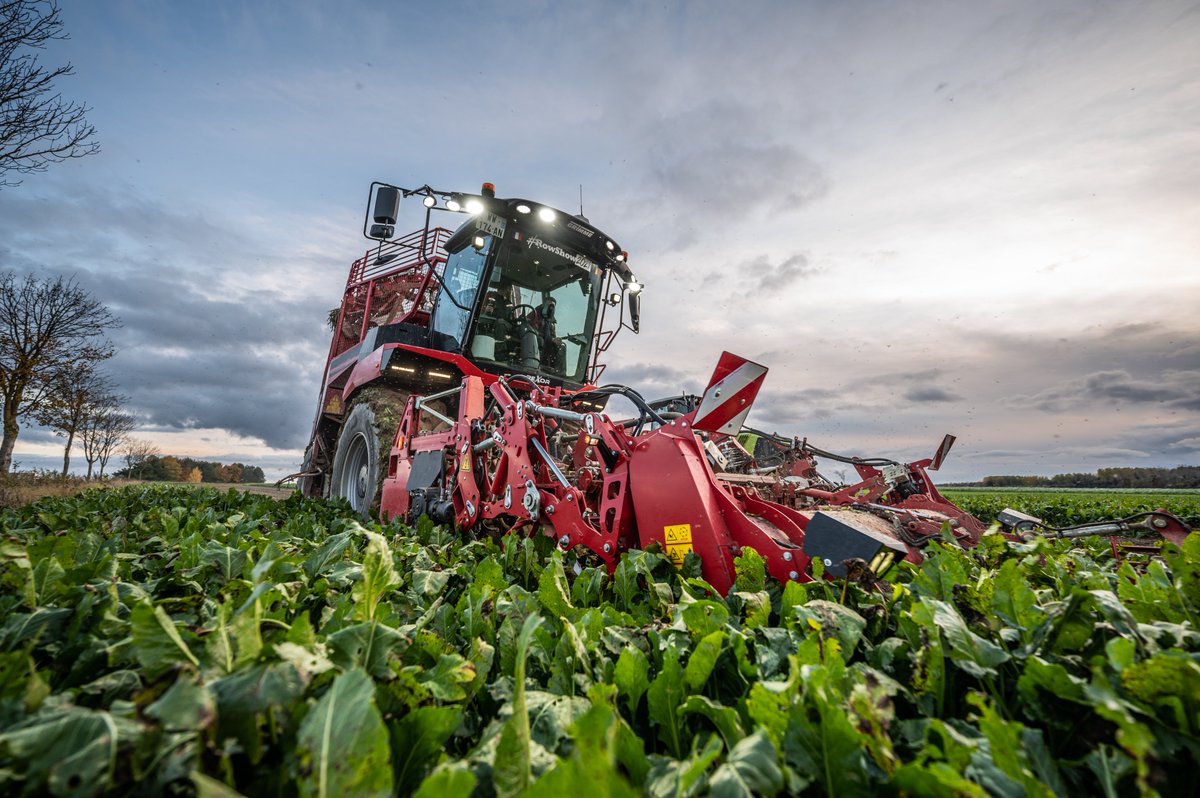 GRIMMEGroup's tweet photo. #RowShow2021
In case you missed the most amazing REXOR 6300 Platinum ever, here are some fantastic images of this beast! π€©πͺ
#GRIMME #REXOR6300Platinum #sugarbeets https://t.co/TfHBL8TEHD