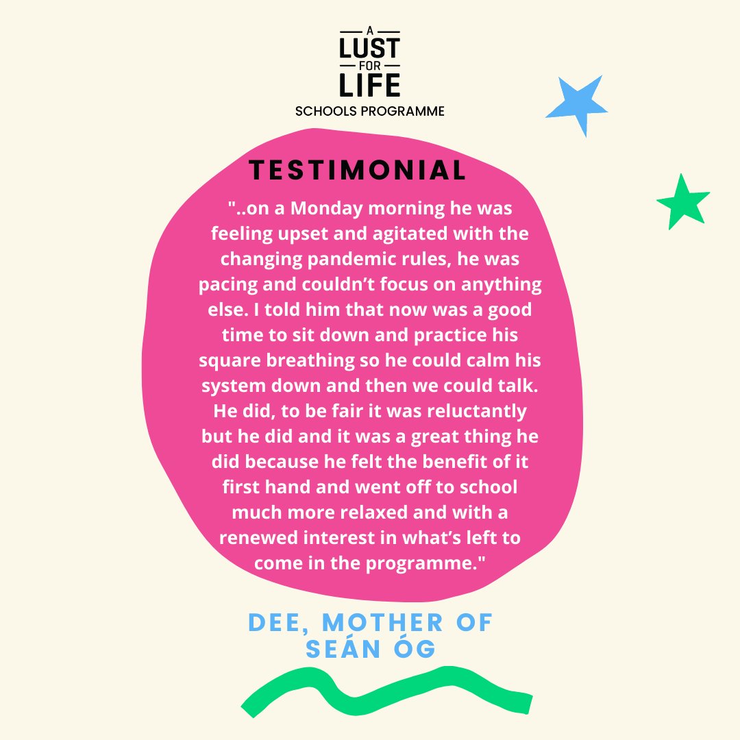 It is so wonderful to see the positive impact the A Lust For Life Schools Programme is having on both children and parents as outlined here by 11 year old Seán Óg, and his mother Dee.