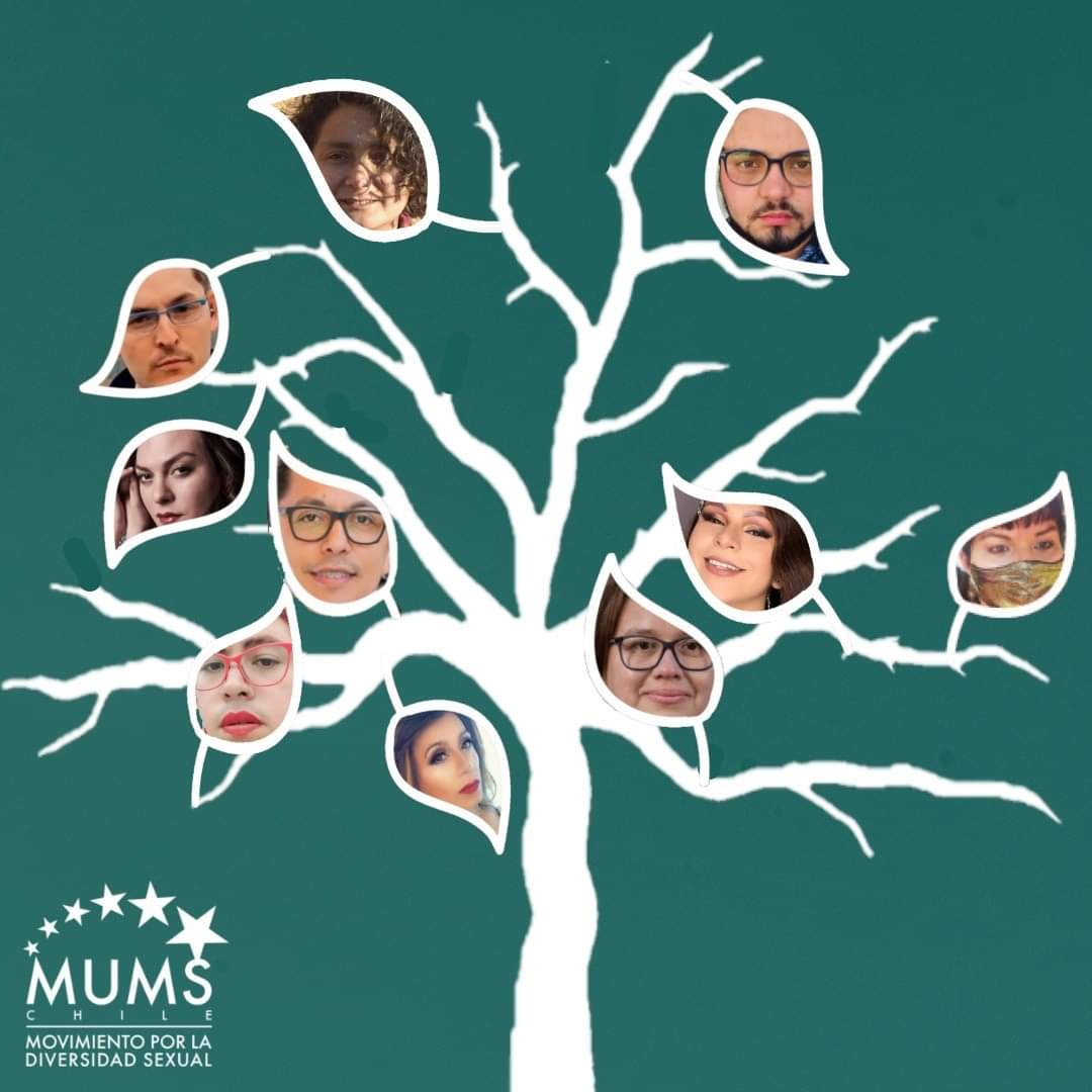(1/4) 
Proyecto Árbol 10
Una nueva jornada, una hoja más en este árbol que se va construyendo con las miradas de esperanza en el nuevo gobierno y su proyecto de inclusión. 
En esta oportunidad, presentamos la reflexión realizada por la convencional constituyente Jeniffer Mella...