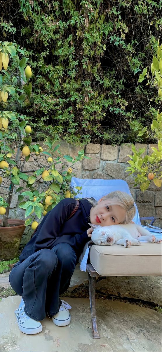 I vote #MAMAVOTE #rosé