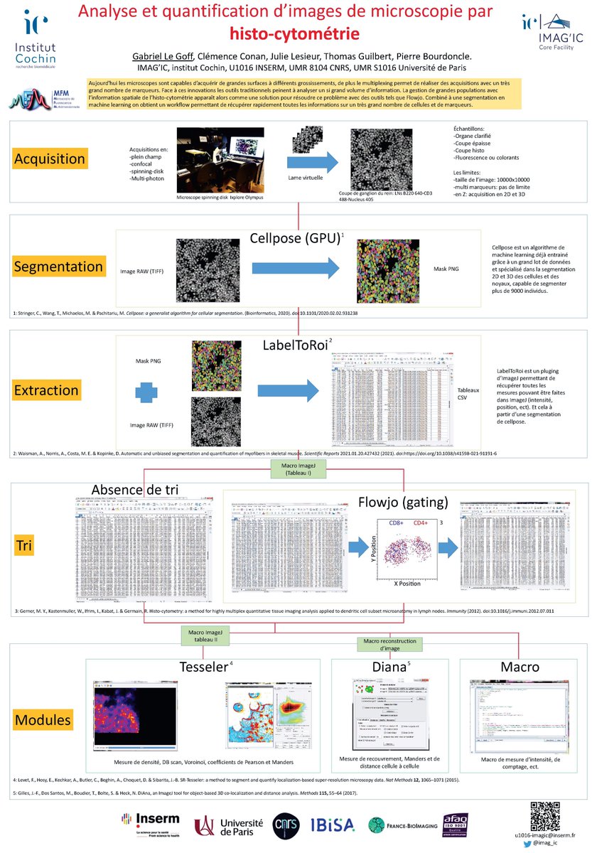 imag_ic's tweet photo. You acquire large #scanslides on tissue and you don't know how to quantify them. #HistoCytometry is the solution !! #Segmentation #CellPose #FLOWJO #Gating #Multiplexing @InstitutCochin https://t.co/gNmJWrYieN