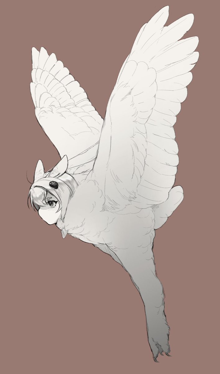🦉 