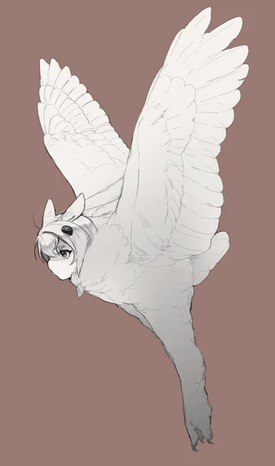 🦉 