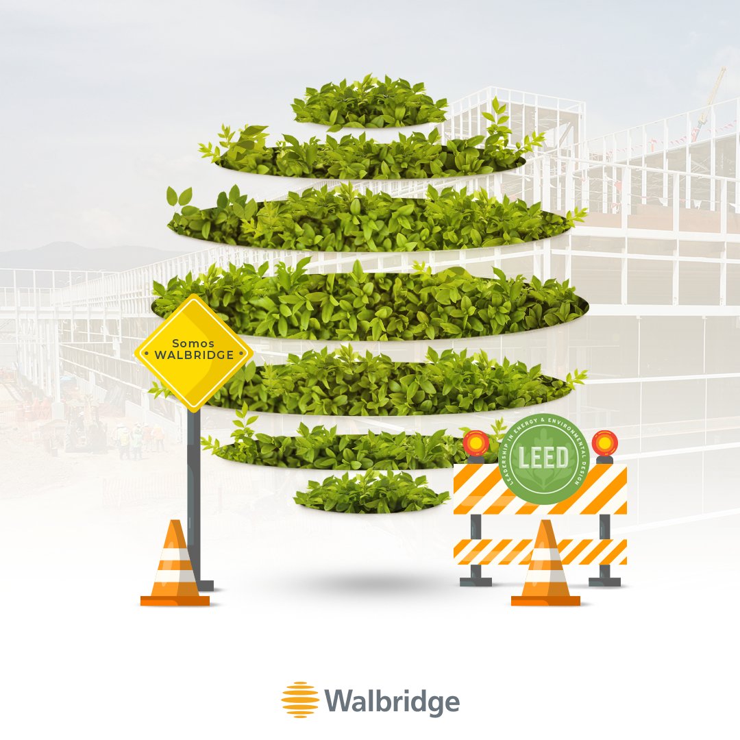 WalbridgeMX tweet picture