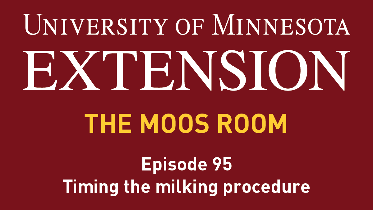 As promised we are back to The <a href="/em_krekelberg/">Emily Krekelberg</a> Show! Em leads us through timing the milking procedure to maximize #parlor efficiency, profit for your #dairy, and health for your #cows. Listen wherever you get your podcasts. <a href="/UMNExt/">U of MN Extension</a> <a href="/mnmilk/">Minnesota Milk</a> <a href="/umndairyext/">U of M Dairy Ext</a> <a href="/topmilk/">Pamela Ruegg, DVM, MPVM</a>