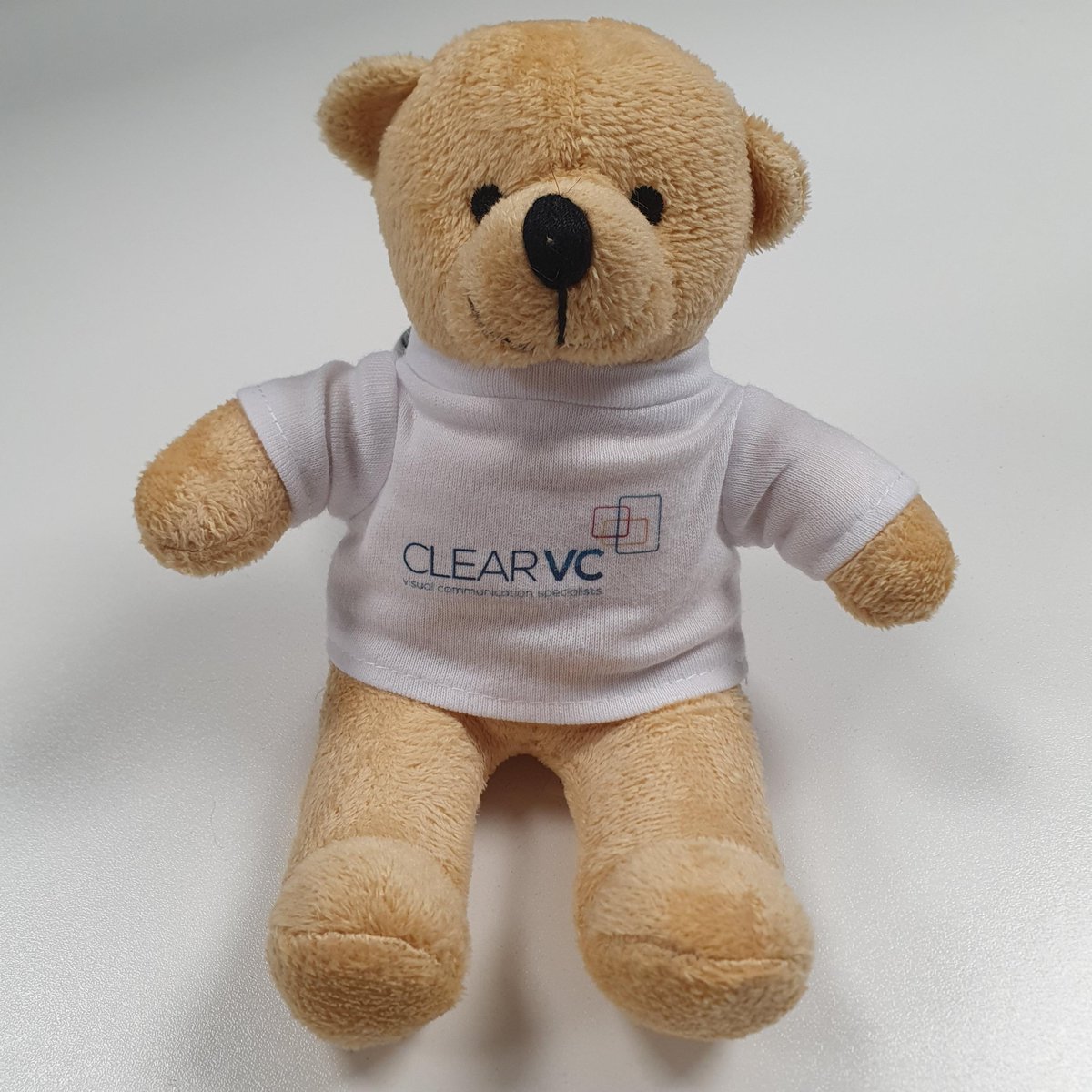 clearvc_'s tweet photo. We're excited to see you tomorrow at #Digitech21 on stand B2.
Come and chat to us, learn what we do, see some of our solutions in action and get your very own ClearVC bear to keep you company on your desk!
#PublicSector #Procurement #Digitech https://t.co/ckmixkoRRm