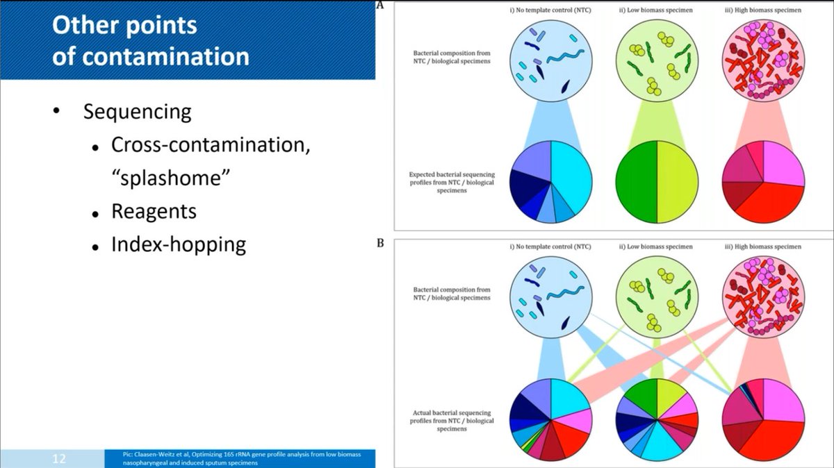 masazup's tweet photo. Really interesting talk by Bastian V H Hornung to start the #FEMSMicrobiolEcol #FEMSWebinar on #microbiome quality control. Even your kit reagents have their own microbiome – kitome! Negative controls are SO important, and yet there’s so many publications without them out there. https://t.co/e2YvvPSHKV