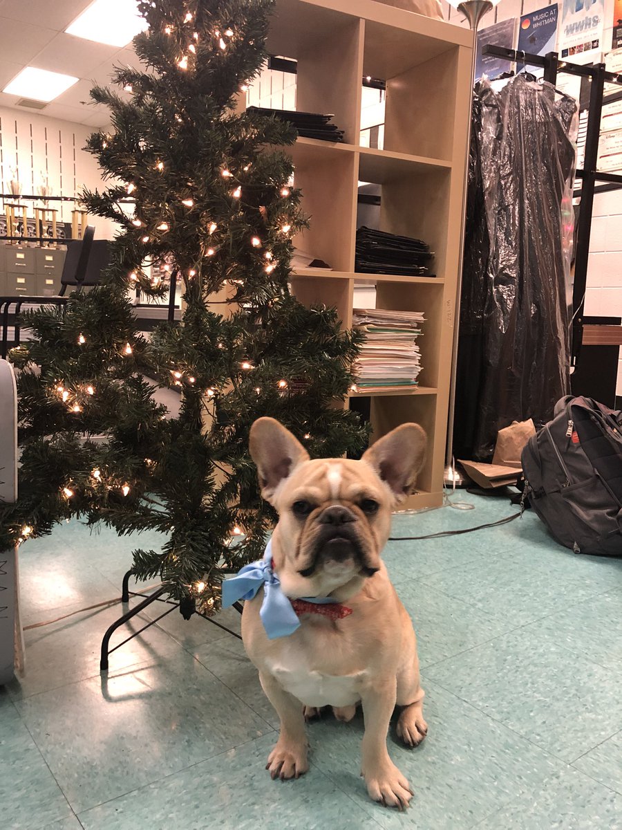 Ready for the big Whitman Choral Concert!  Tonight at 7pm!  <a href="/RDodd_Whitman/">Robby Dodd</a> <a href="/KristiMcAleese/">Coach Mac</a>