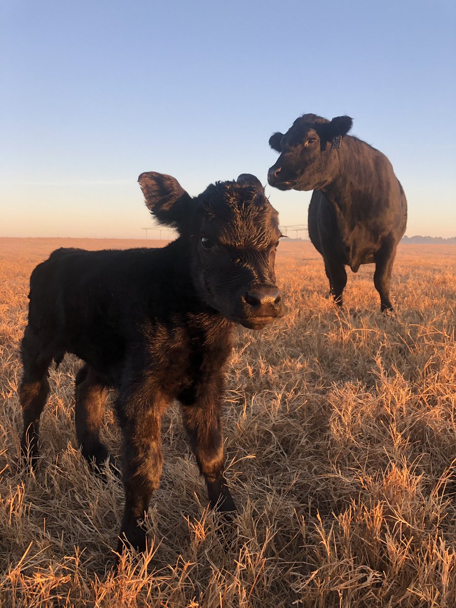 FPL Food, LLC tweet media