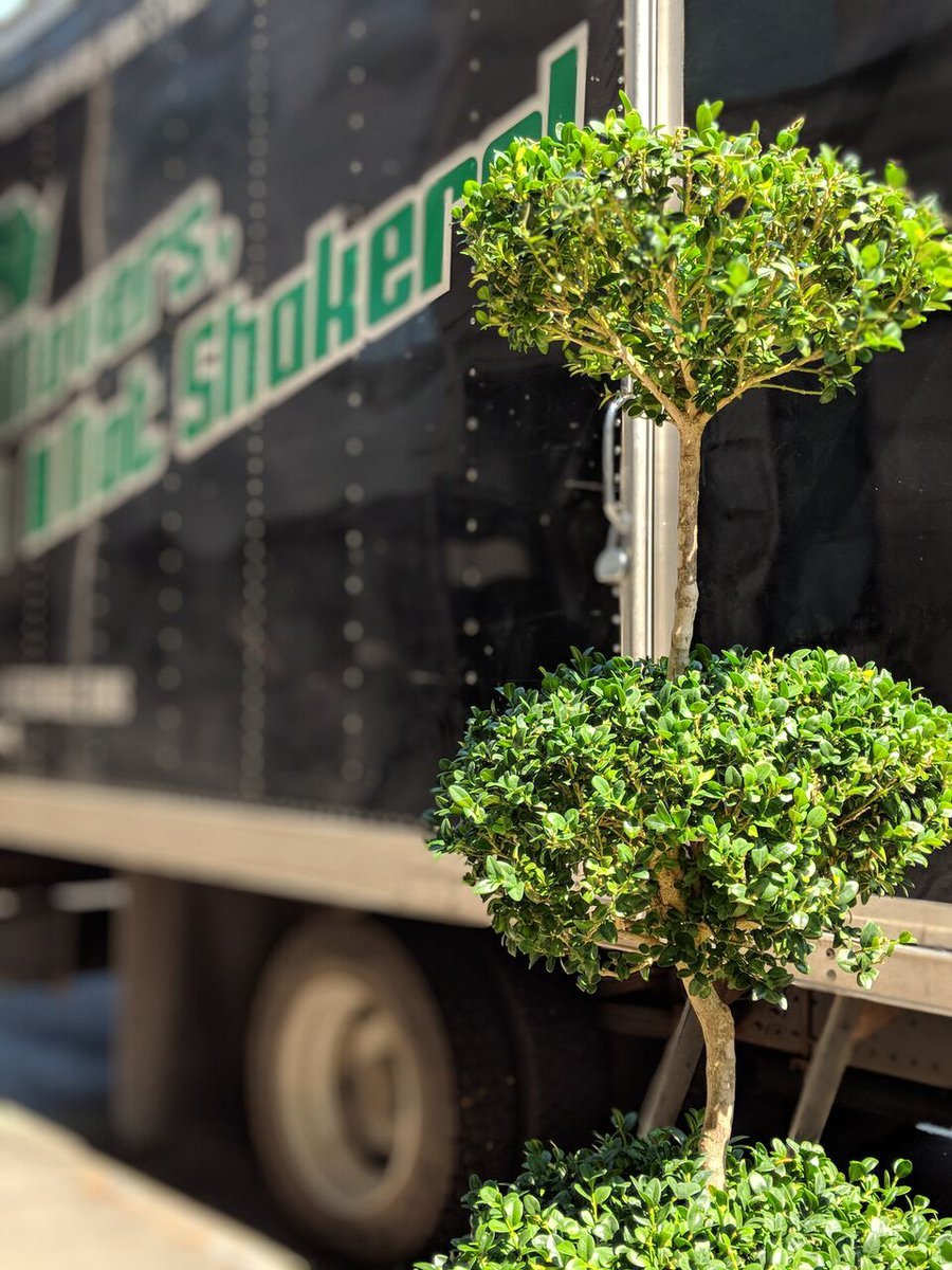 Movers, Not Shakers! tweet media