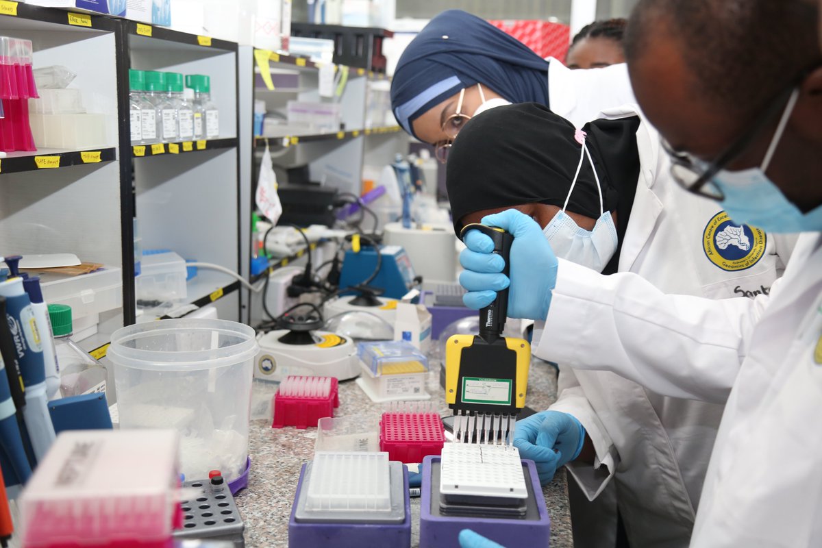 acegid_igh's tweet photo. During our hands-on #NGSTraining today, we covered plate mapping, qPCR &amp; analysis, and cDNA Synthesis &amp; Tiling. https://t.co/chCM6tYVyD