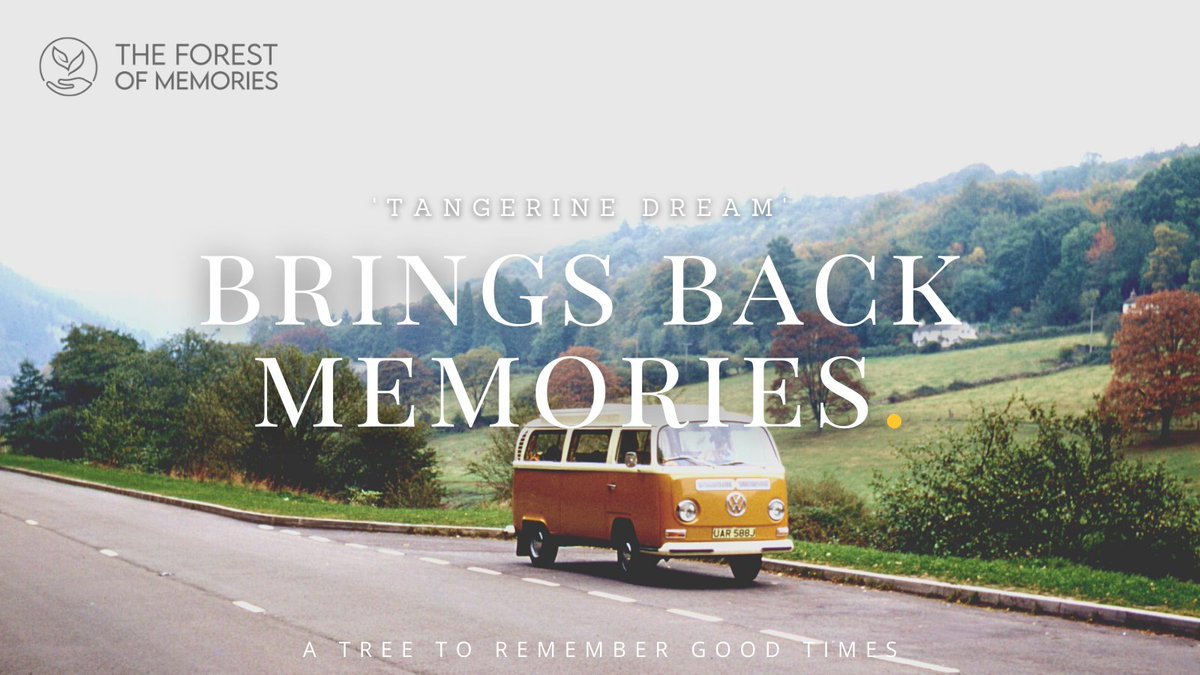 A photo can take you back, you can experience that emotion you felt at the time. Visit theforestofmemories.com to #remember those happier times and celebrate lives little moments for FREE.

#memories #celebratelife #memory #trees #free #emotions #LifeMatters <a href="/NNNGroupUK/">NamesnotnumbersUK</a> #covid