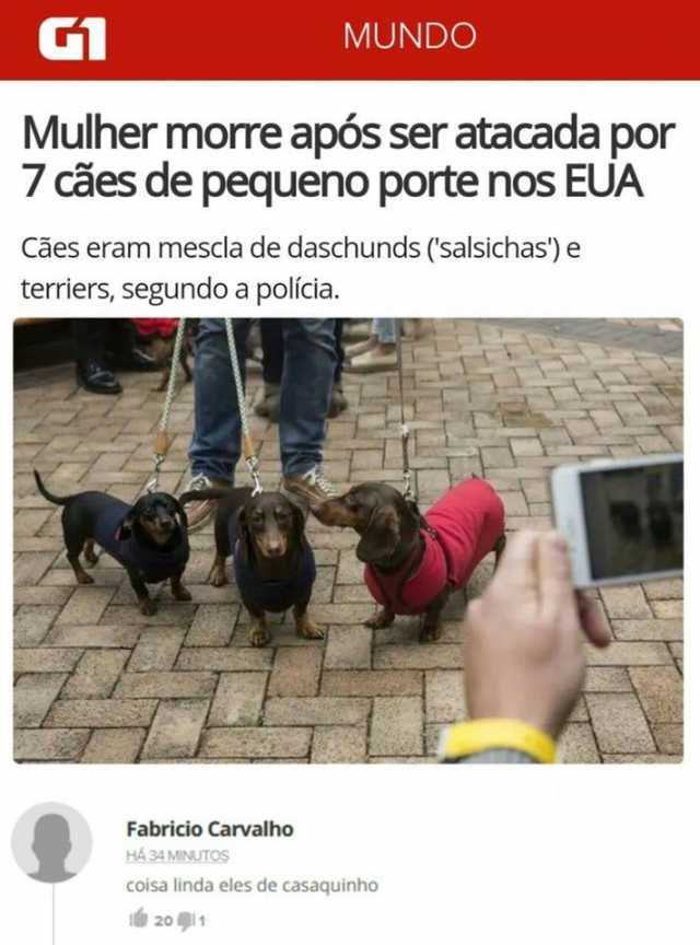 thiago_borgo's tweet photo. Seguí una cuenta en portugués y me dí cuenta que Twitter Brasil es mil veces más gracioso https://t.co/AU66Ry7tue