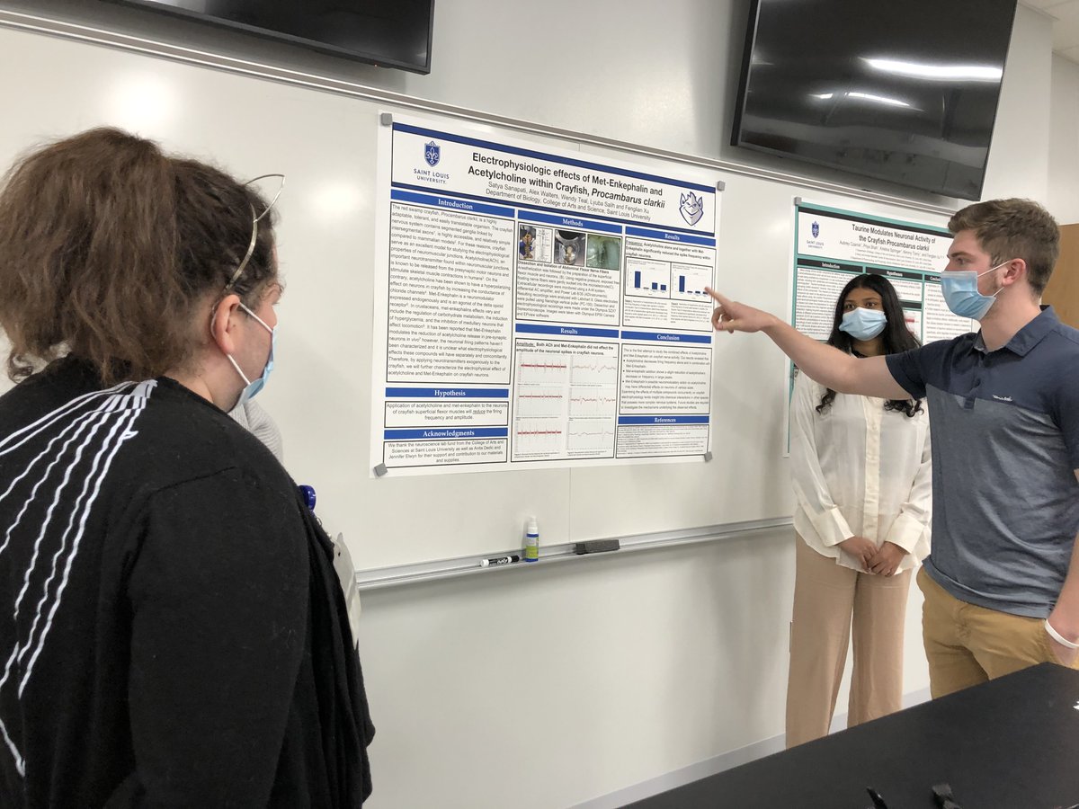 NeuroscienceSlu's tweet photo. Yesterday, the Neurophysiology Lab students presented their projects and discussed what they learned in the process. Afterward, they had a small gathering to celebrate their success and each other. https://t.co/4yFxCrGRNn