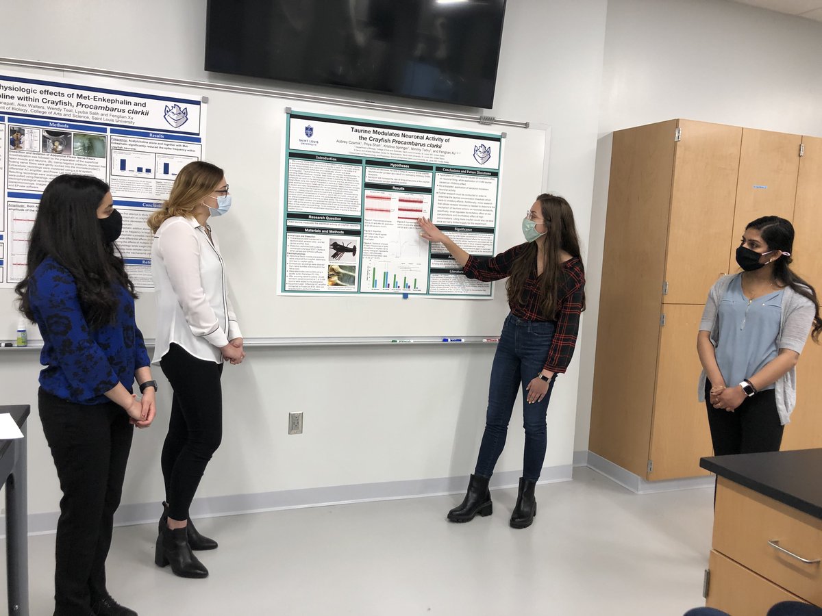 NeuroscienceSlu's tweet photo. Yesterday, the Neurophysiology Lab students presented their projects and discussed what they learned in the process. Afterward, they had a small gathering to celebrate their success and each other. https://t.co/4yFxCrGRNn