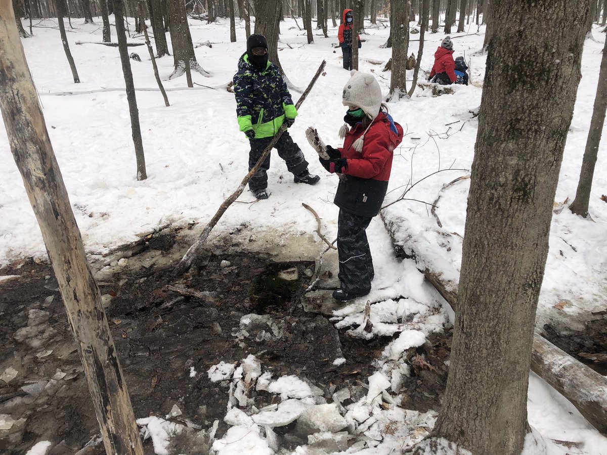 VanZeelandPower's tweet photo. Musical instruments, ice for windows, a telescope for adventures and a milkshake shop! Forest School is full of surprises. https://t.co/GAsboJJSy4