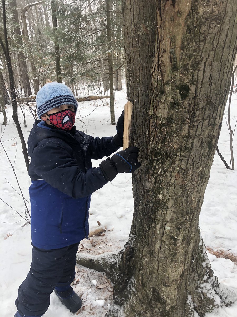 VanZeelandPower's tweet photo. Musical instruments, ice for windows, a telescope for adventures and a milkshake shop! Forest School is full of surprises. https://t.co/GAsboJJSy4