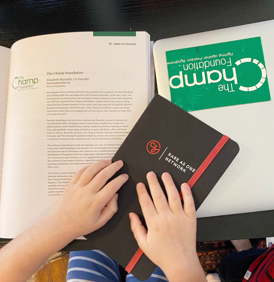 Little hands helping us get ready for the #RareAsOne community meeting! We are looking forward to meeting the 20 new patient-driven rare disease organizations in the RAO network! Thank you to <a href="/cziscience/">Biohub</a> for helping to find treatment and cures💪🏽