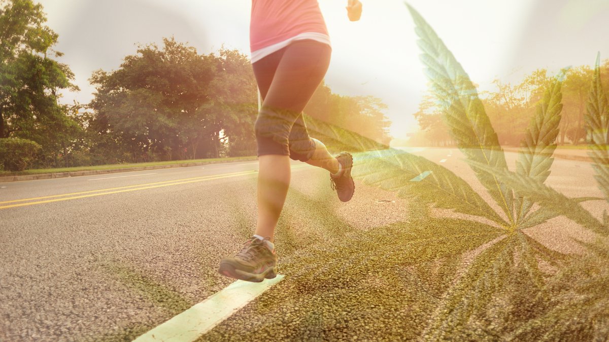 CBDLearningBase's tweet image. Cannabis may have some impacts on exercise. It is thought to be able to numb pain, minimize nausea and alleviate fatigue. bit.ly/3oyz1hp

#cannabisculture #CannabisLegal #sports #athletes #cannabisindustry #cannabisnews #cbdlife