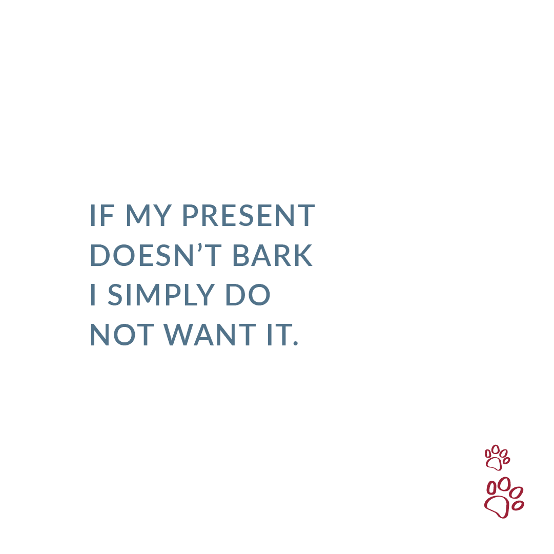 CampReno's tweet photo. Nuff said 🎄 https://t.co/1ubNHzVbtn