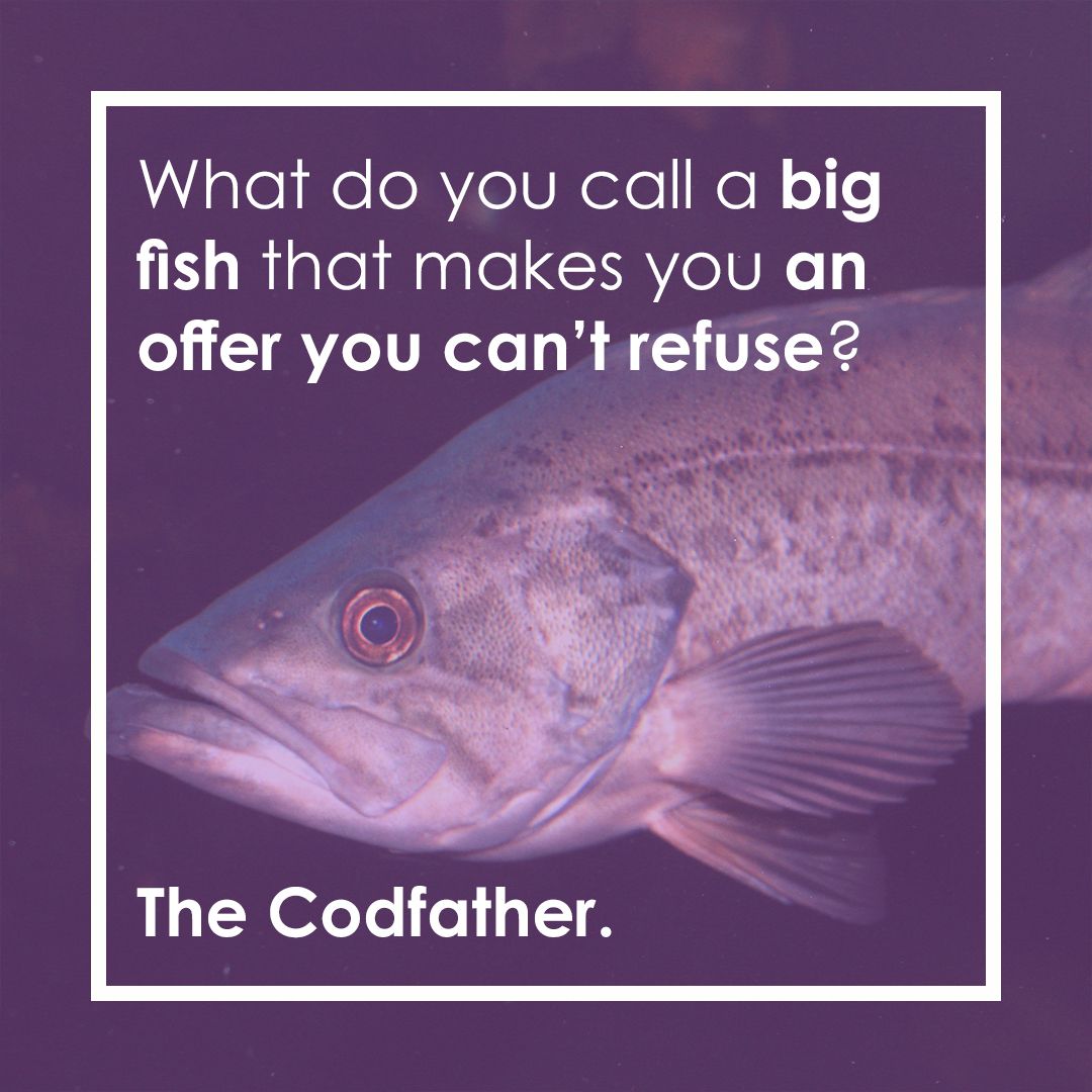 What do you call a big fish that makes you an offer you can't refuse?

The Codfather 😎

#GlobalSuperyachtMarketing #jokeoftheday #jokes #yachting #yachtie #yachtielife #sea #ocean #saltlife #luxuryyachting #lifeonwater #sealovers