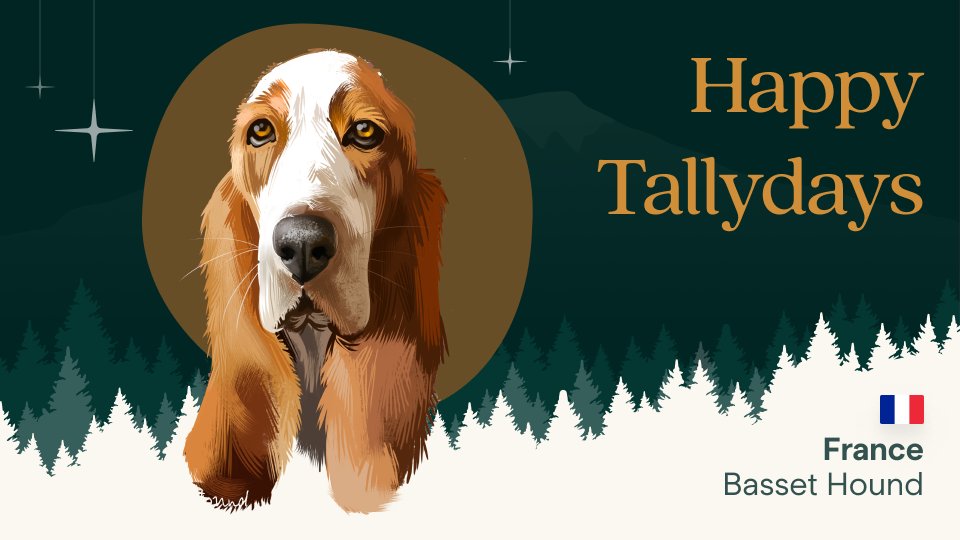 taho_xyz's tweet photo. On the second day of #Tallydays my true love gave to me...
A Basset Hound from France π«π· https://t.co/JM1hY4yXaH