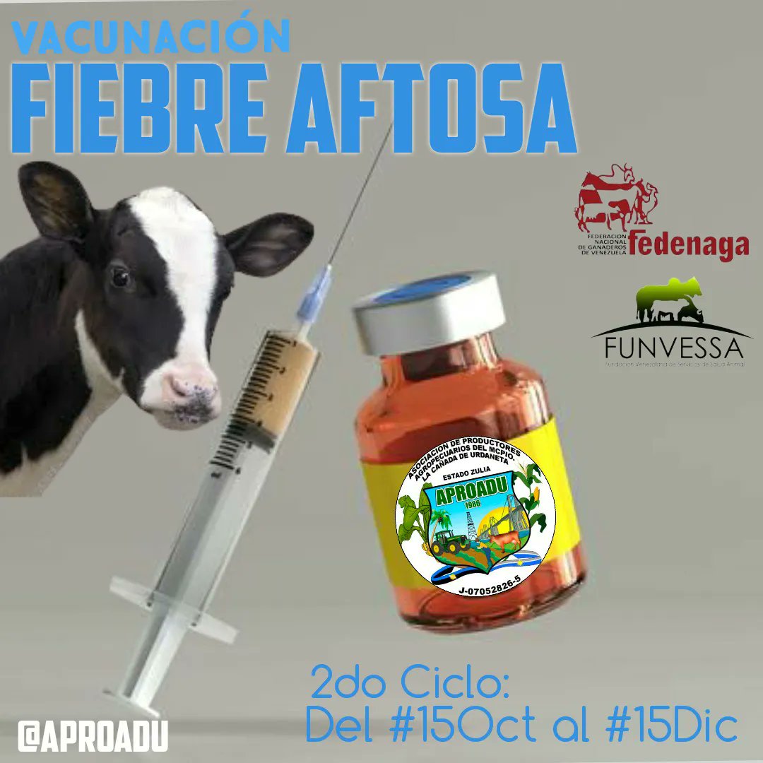 aproadulcu's tweet photo. Por una #VenezuelaLibreDeAftosa

#VenezuelaProductiva ⠀
⠀
#Aproadu ⠀
#LaCañadaDeUrdaneta #Zulia #Venezuela #Ganado #Ganadero #Finca #Hacienda #Parcela #Campo #Aprender #Tierras 
@Fedenaga @fegalago @Confagan @WernerGutierrez @INSAI_Zulia @MV_AngelAtencio @g_americo_avila https://t.co/ix5EAdPj4n