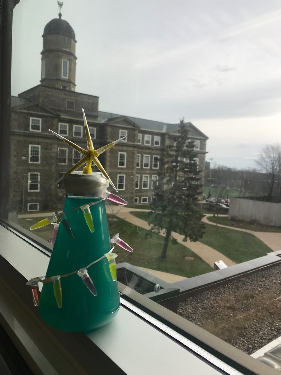 Catherine Bannon tweet media