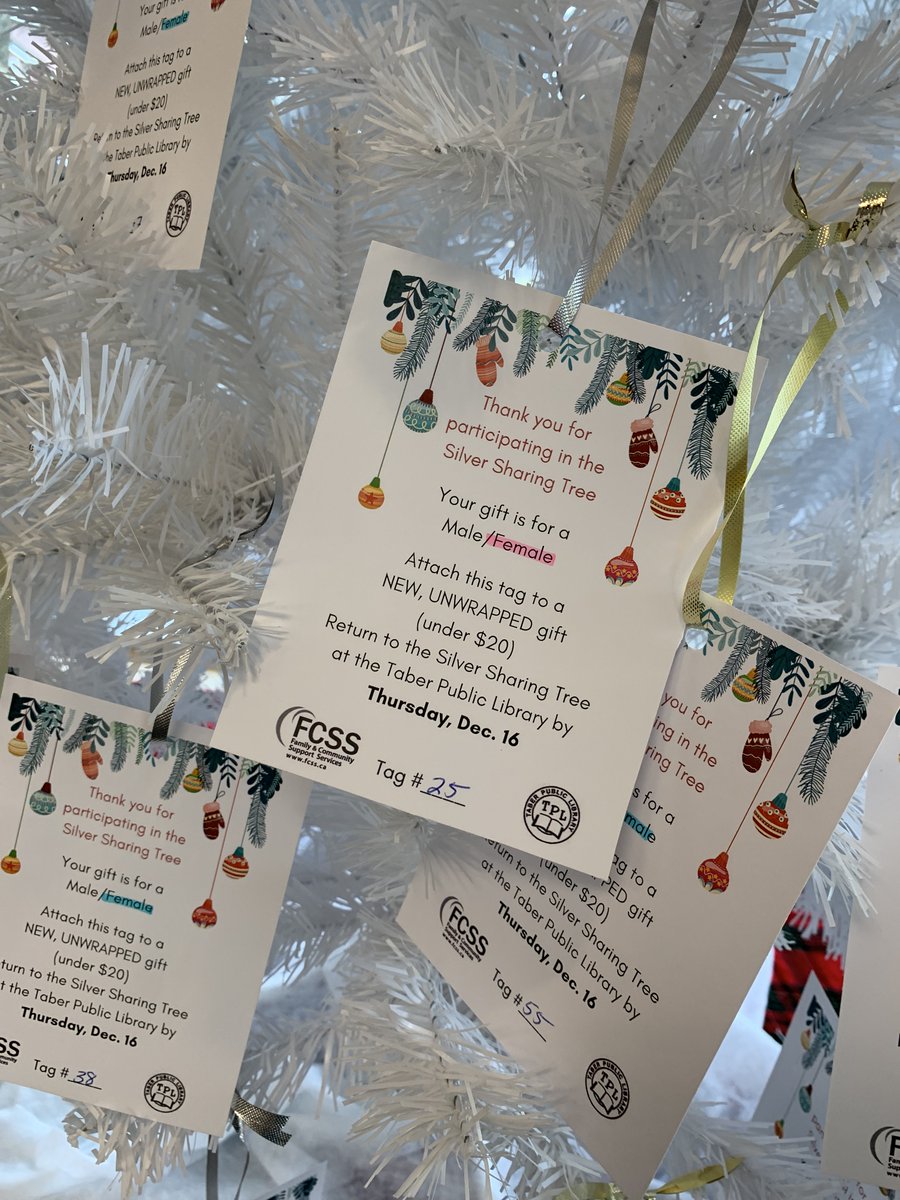 TaberLibrary's tweet photo. As we head into the holiday season, we would like to remind everyone that you can brighten the holiday of local seniors by donating to the Silver Sharing Tree at our library. All gifts go to residents in care facilities &amp; we even have gift ideas for you! #TaberAB #TaberLibrary https://t.co/ilApfP9qk8
