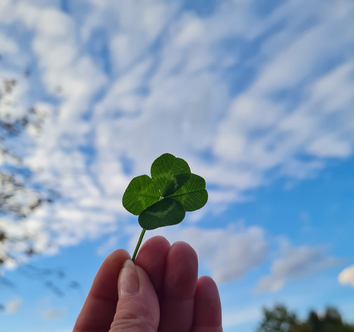 evahane's tweet image. #MAMAVOTE #txt