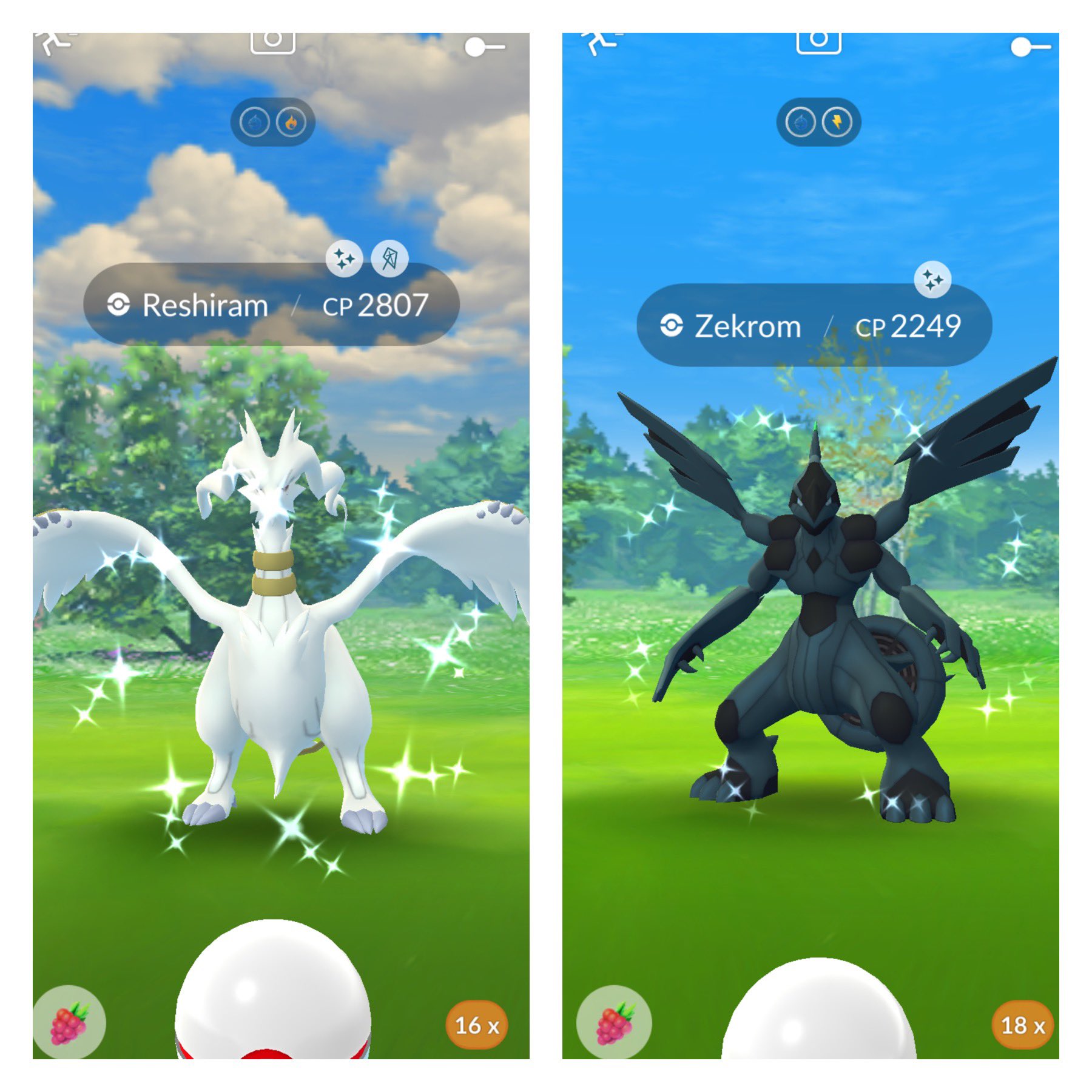 𝙒𝙃𝙔𝙇𝘿𝙀 on X: ✨Got both Shiny Dragons✨ Zekrom Raids: 2 Reshiram: 1  Money spent: 0 Thank you Niantic 😁 After not getting Shiny Dialga or  Palkia I didn't want to miss out