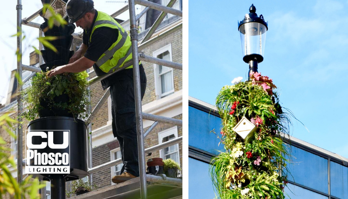 CU Phosco Lighting tweet media