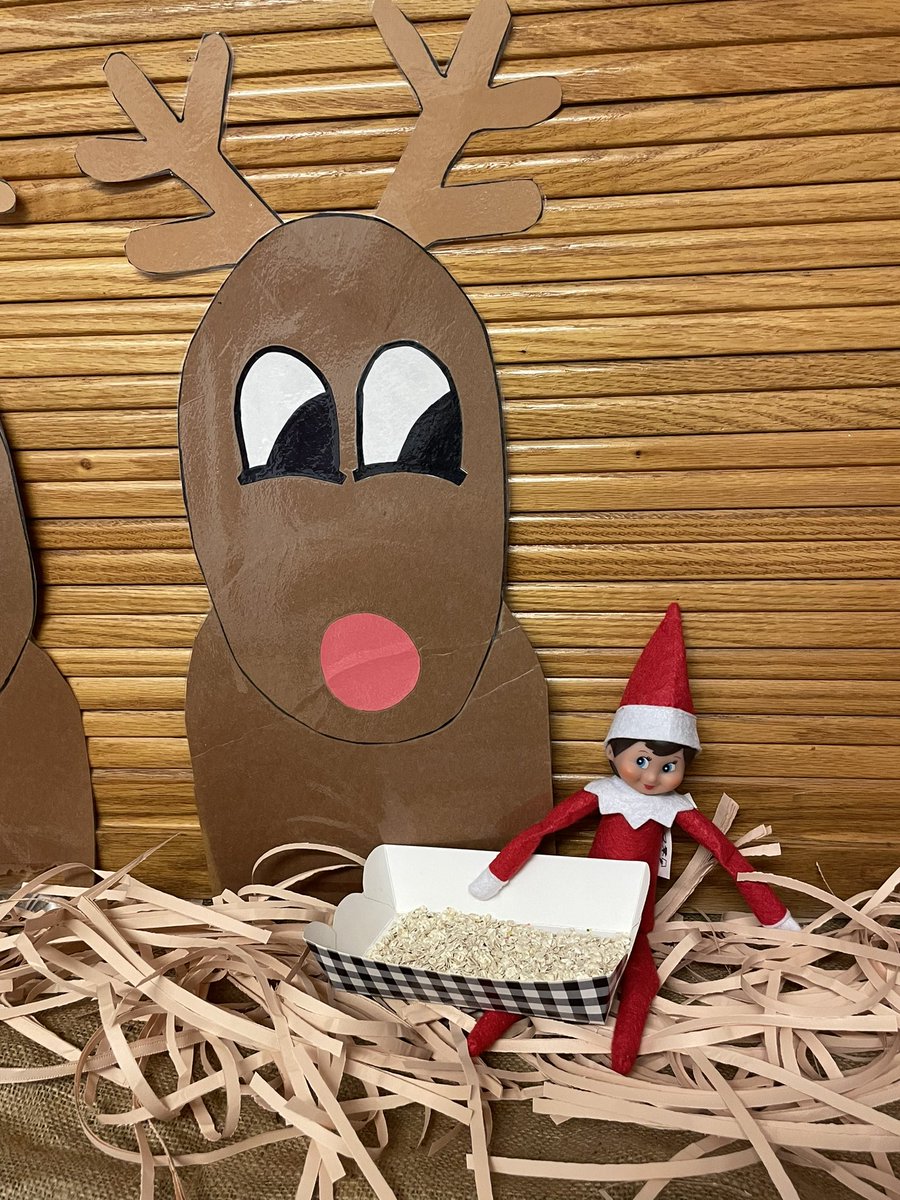MrsBarnesNL's tweet photo. Snowball was caught trying to sneak the reindeer some food today! 😮 @SCAStingrays #christmasfun https://t.co/0Jqmdv6f5R