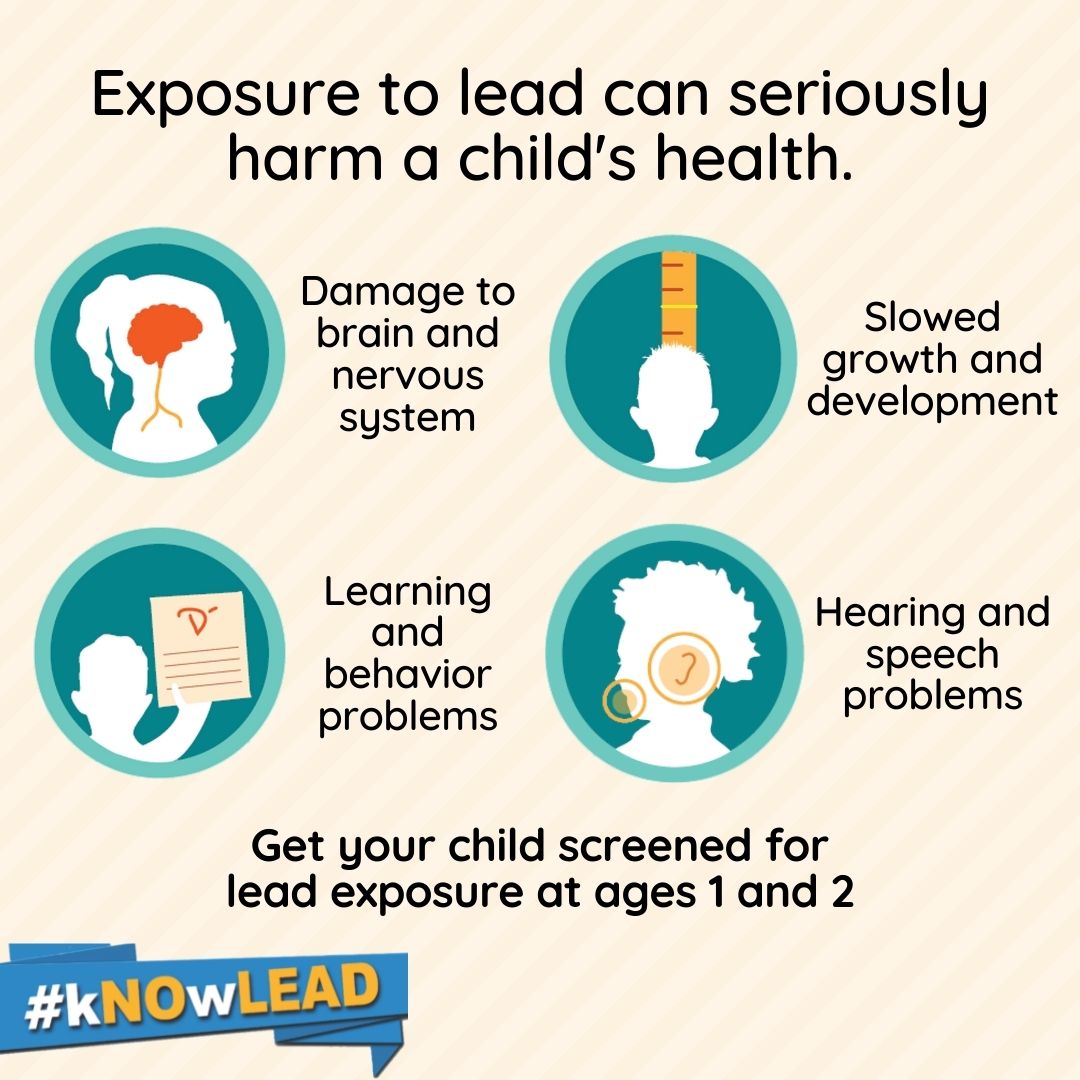 NJDeptofHealth's tweet photo. Due to the pandemic, lead screenings of children younger than age 3 have decreased by 12%. Children have also spent more time indoors, potentially increasing lead exposure.

Children should be screened for lead at ages 1 and 2. Learn more: https://t.co/vEpyidiM2v #kNOwLEAD https://t.co/5TuGG8EvQj