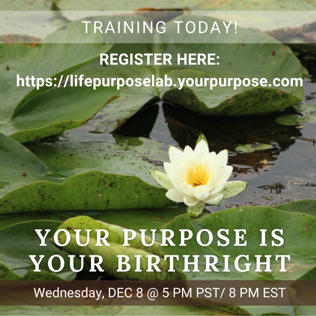 BaethDavis tweet media