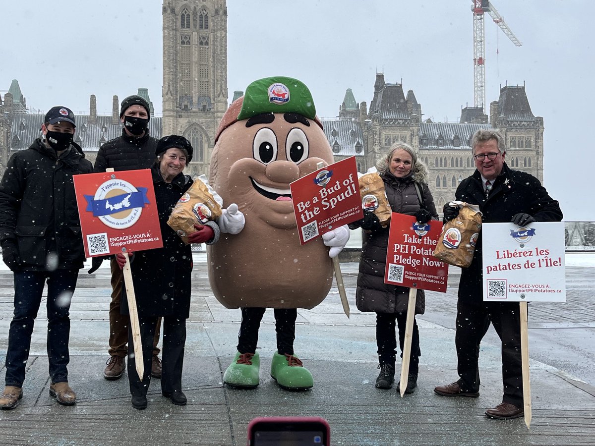 Happy to support the PEI Potato Board today.  #freethepotato
