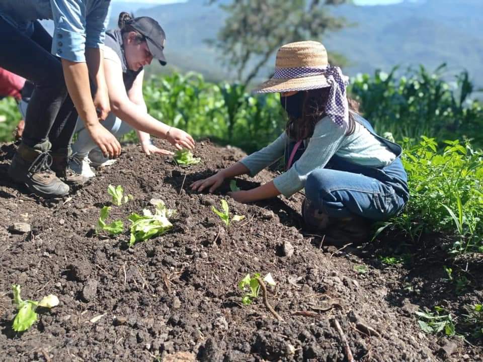 RedBoyaca's tweet photo. #RedInforma || La Oficina De Cultura Ambiental de #Corpoboyacá realizó la entrega de 76 Kits de huertas en los municipios de #Susacón, #Soatá y #Tipacoque a población víctima del  conflicto armando, personas en condición de discapacidad, entre otros sectores vulnerables. https://t.co/B81KKzb8s8