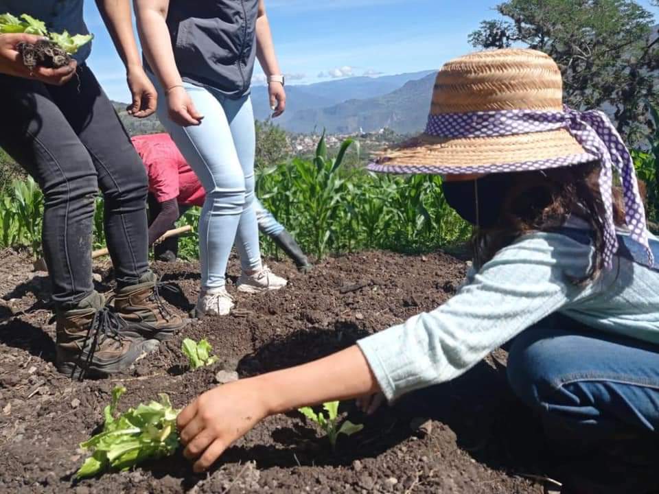 RedBoyaca's tweet photo. #RedInforma || La Oficina De Cultura Ambiental de #Corpoboyacá realizó la entrega de 76 Kits de huertas en los municipios de #Susacón, #Soatá y #Tipacoque a población víctima del  conflicto armando, personas en condición de discapacidad, entre otros sectores vulnerables. https://t.co/B81KKzb8s8