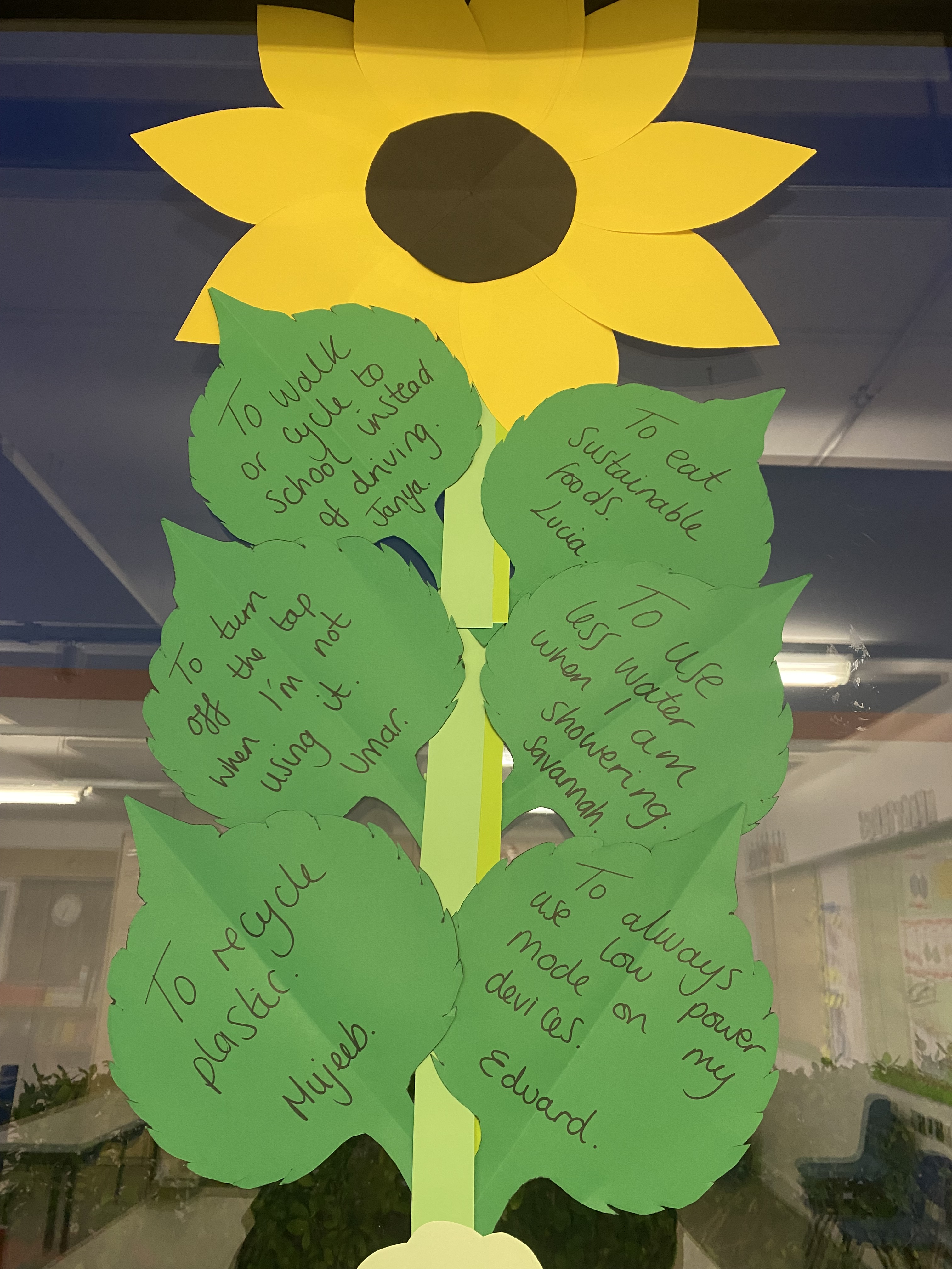 Elmgrove Primary Elmgrove 6w Care About Climate Change You Can Make A Difference If There Is Anything Which You See That You Do Not Feel Is Fair You Can Help