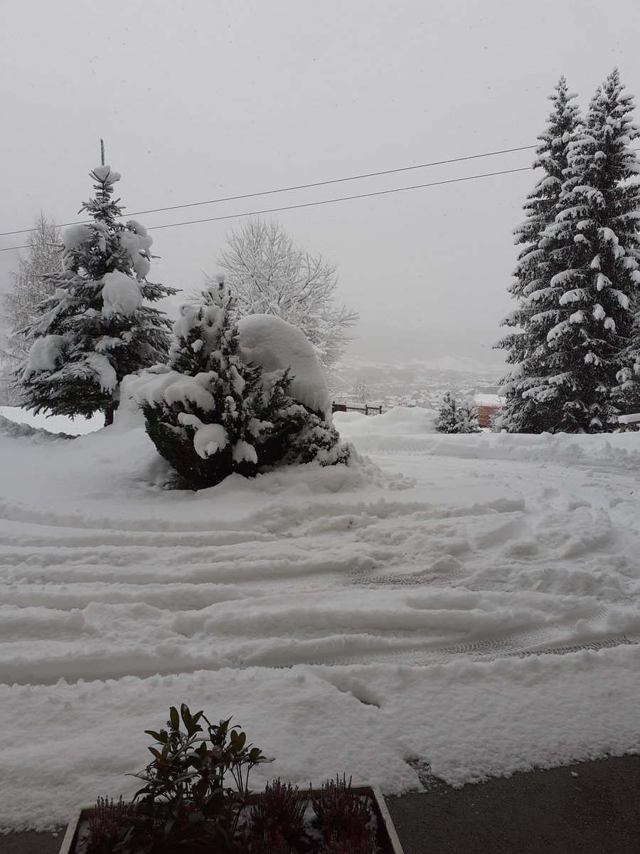 Elisabeth_05 tweet media