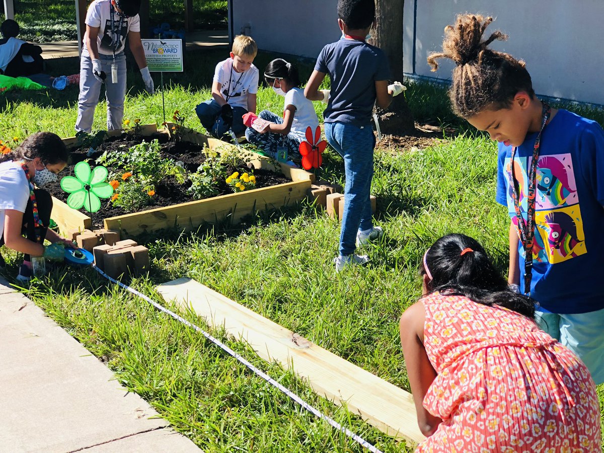 MrsMoorman1's tweet photo. We built a garden from scratch! Big thanks to @FlaFarmBureau, @BrowardSTEM #P3Challenge & our garden fairy - Ms. Griffin for funds and support π @CentralParkElem https://t.co/bCWC7aXPEO