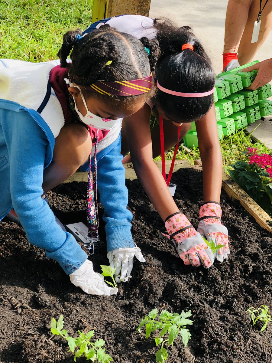 MrsMoorman1's tweet photo. We built a garden from scratch! Big thanks to @FlaFarmBureau, @BrowardSTEM #P3Challenge & our garden fairy - Ms. Griffin for funds and support π @CentralParkElem https://t.co/bCWC7aXPEO