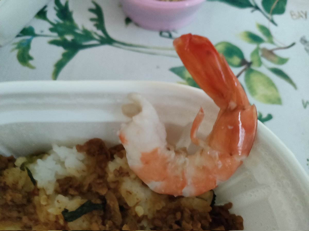 thepedw's tweet photo. กุ้งตัวแรกที่แกพาให้ น่าร้ากกกกก https://t.co/DvCfrF9jse