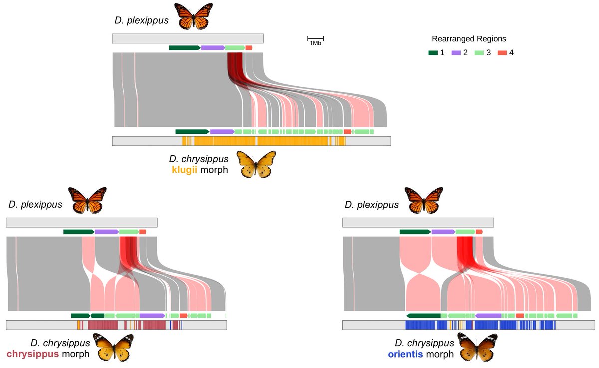 Simon Martin tweet media