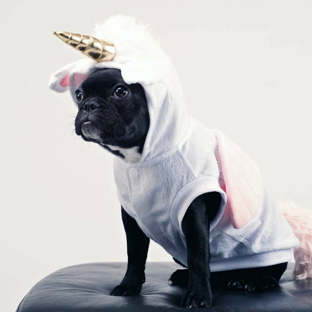 Moot_tv's tweet photo. Here are a bunch of stock-photos related to unicorns and notaries.

Once again we throw a throwback episode your way as events in the bois’ lives keep them from coming together: The Gregaman welcomed his second child into the world, Producer EJ has been … https://t.co/g8DSOffTH8 https://t.co/SkRUFGJpGy
