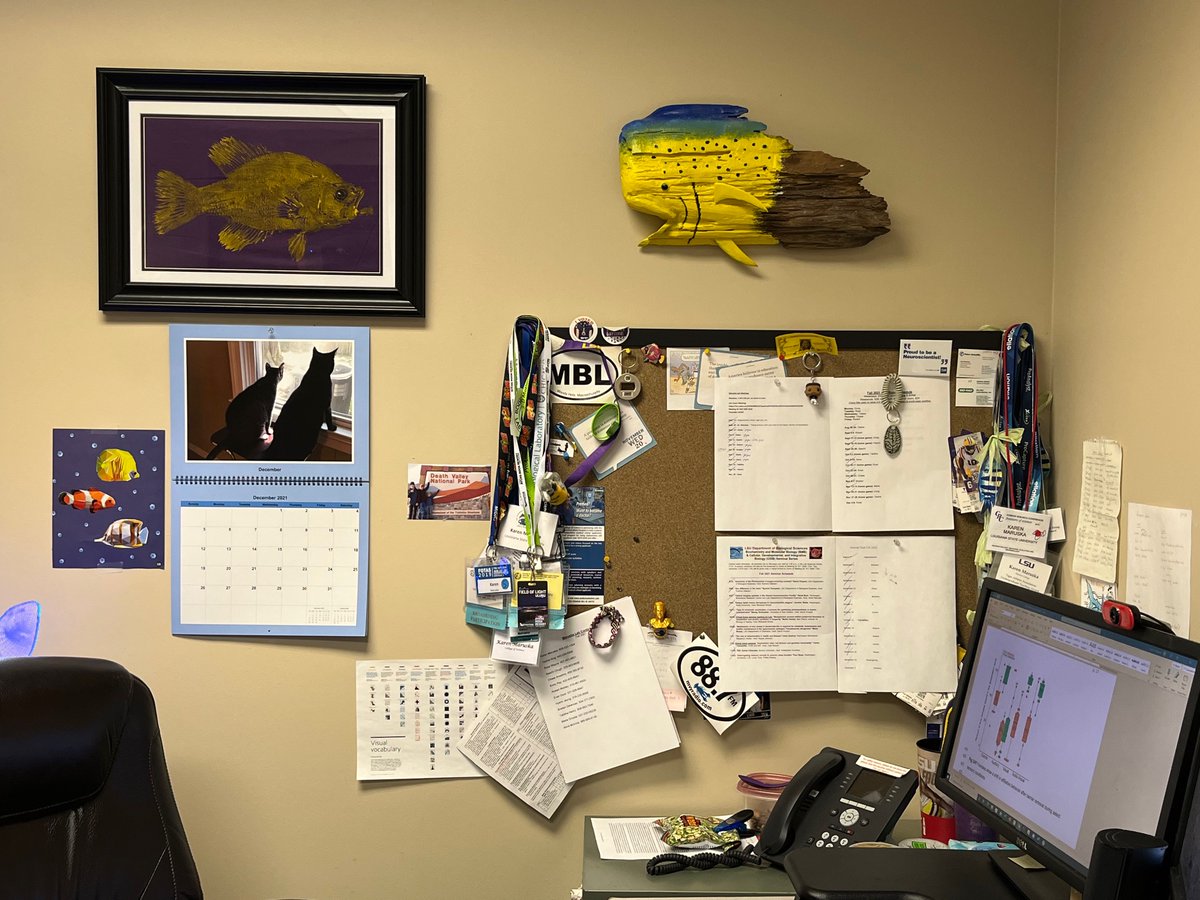 Maruska Lab tweet media