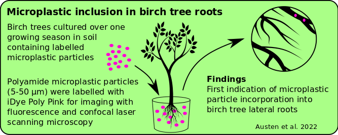 katausten's tweet photo. Trees shown to take up microplastic particles through their roots. 

Our pilot study "#Microplastic inclusion in #birch #tree roots" published in @STOTEN_journal available #OpenAccess 

co-authors @jmaclean0 @complete__pi #FranzHölker @LeibnizIGB 1/4

https://t.co/zJ5Z0wFGXk https://t.co/xwFVkJmJBL