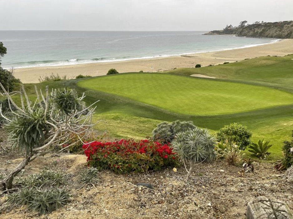 PFA Solutions tweet media