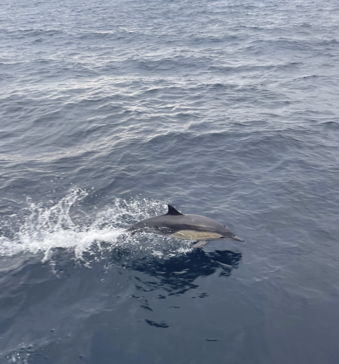 We had a great time at the #GAIMOps conference hosted by <a href="/InformaConnect/">Informa Connect</a> at the Monarch Beach Resort.

Appreciated the opportunity to connect with and learn from leaders in the #AlternativeInvestment industry. 

Learn more informaconnect.com/gaim-ops-west

#privateequity #venturecapital